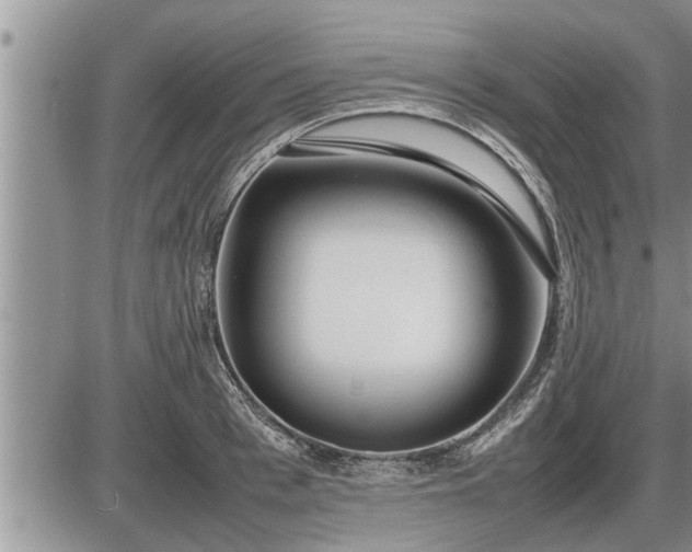 X0000087400993200704271643