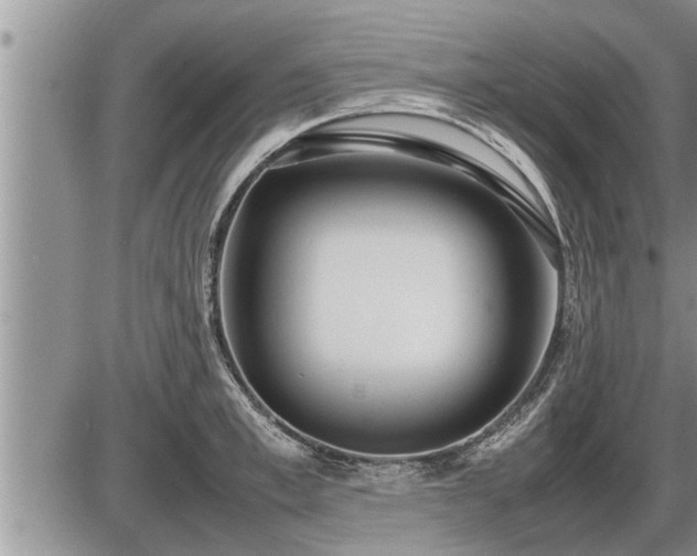 X0000087400997200704271642