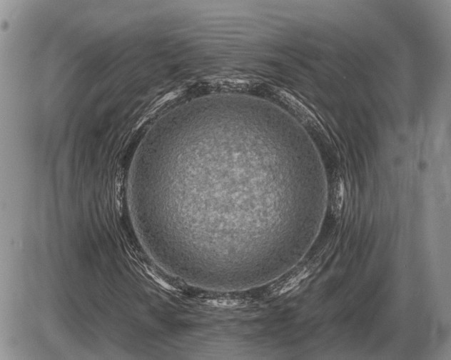 X0000087401010200704271642