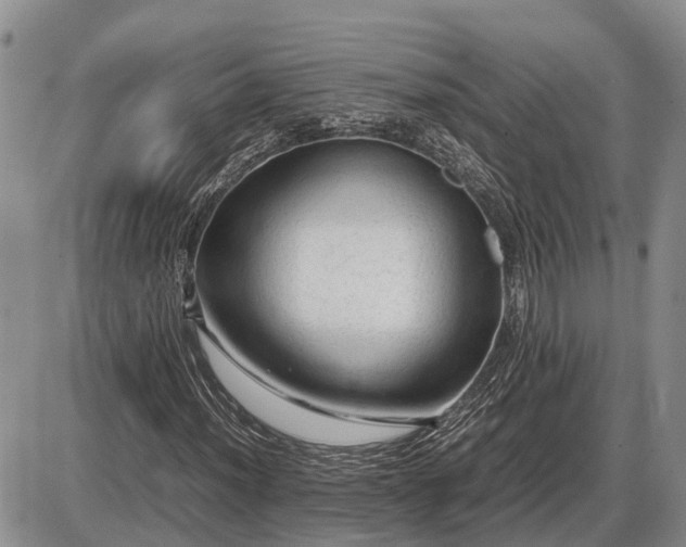 X0000087401012200704271642
