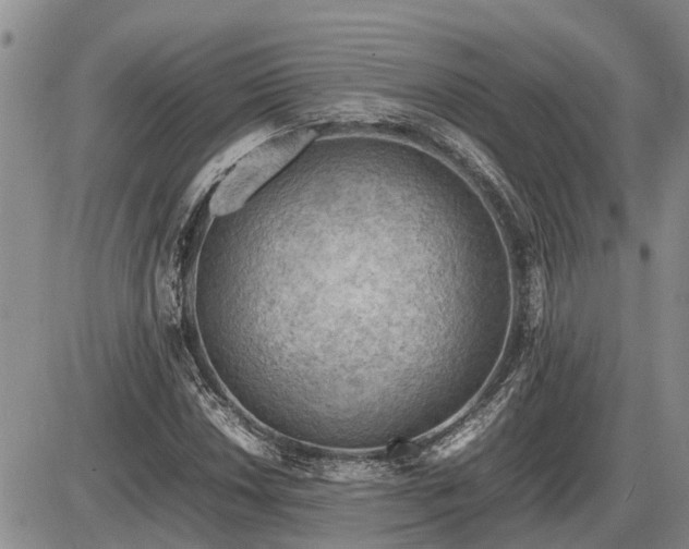 X0000087401018200704271642