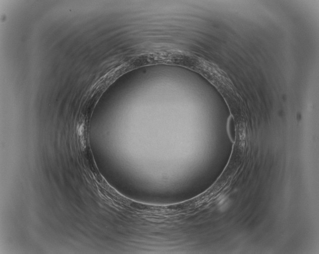 X0000087401060200704271641