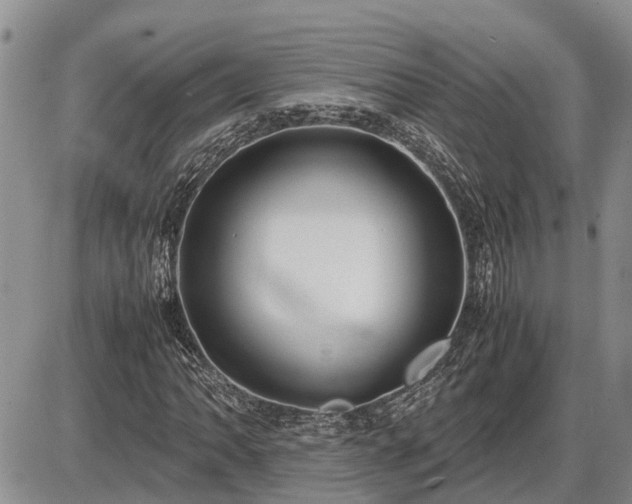 X0000087401062200704271641