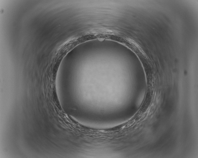 X0000087401063200704271641