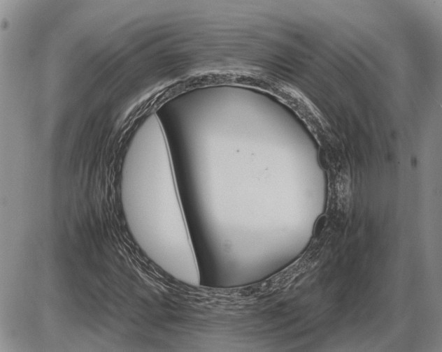 X0000087401064200704271641