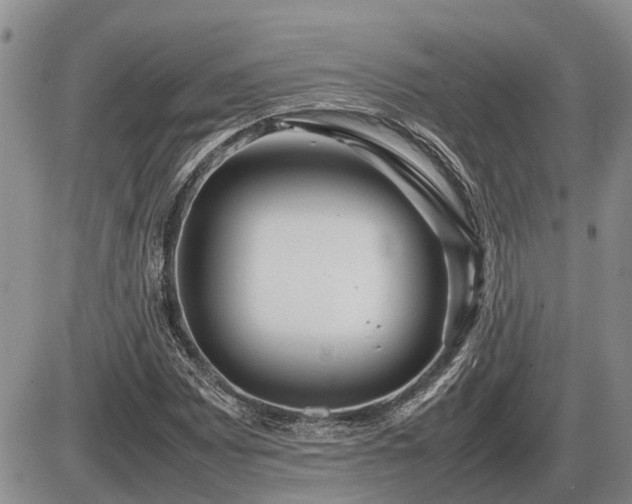 X0000087401065200704271641