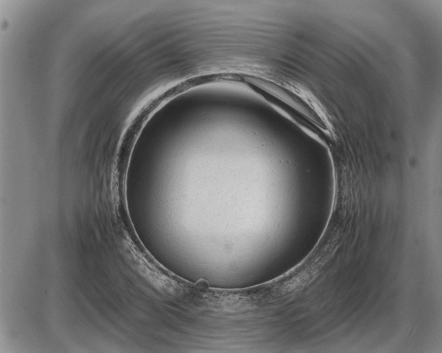 X0000087401072200704271641