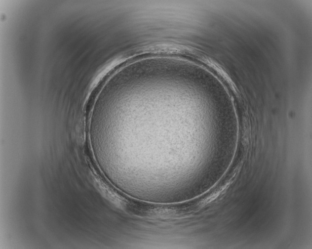 X0000087401075200704271641