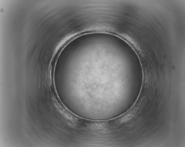 X0000087401078200704271641