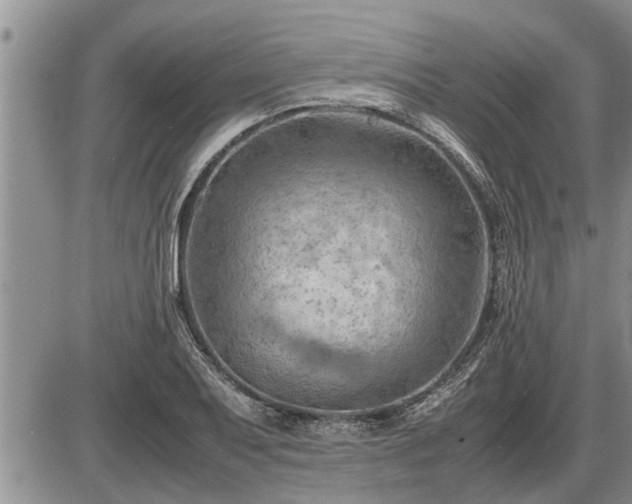 X0000087401079200704271641