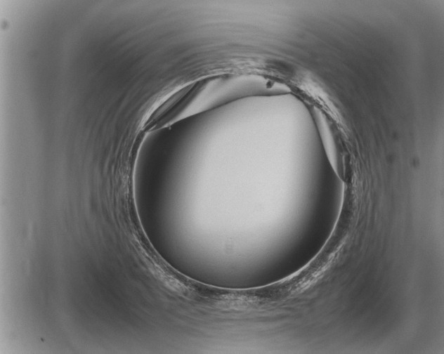 X0000087401081200704271641