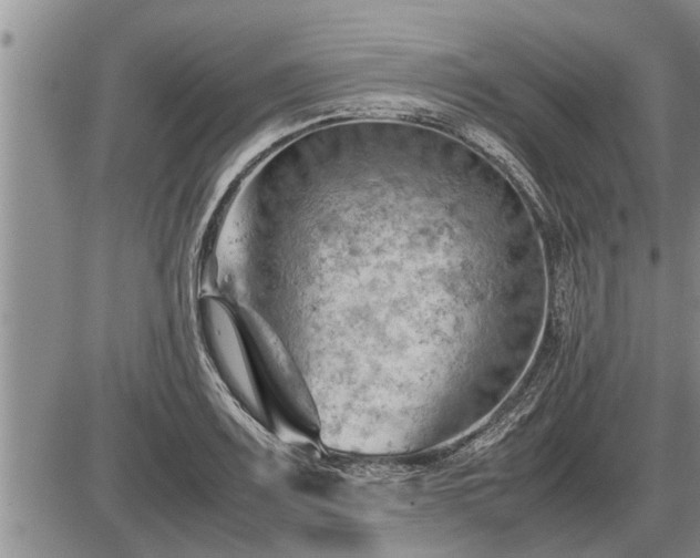 X0000087401083200704271641