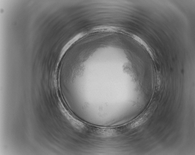 X0000087401090200704271641