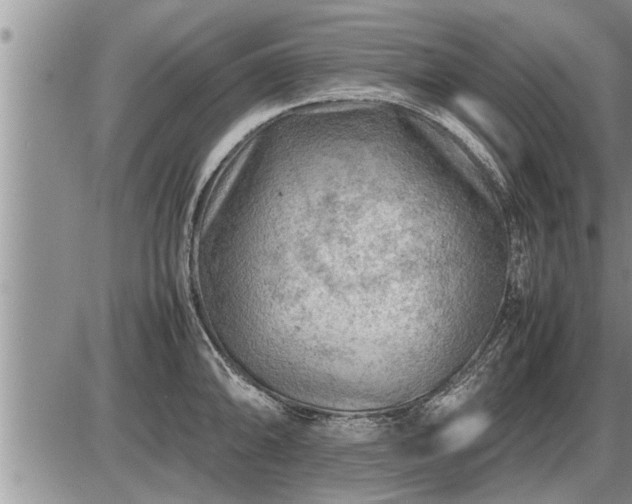 X0000087401094200704271641