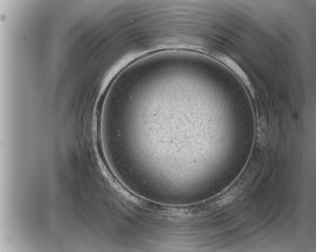 X0000087401096200704271641