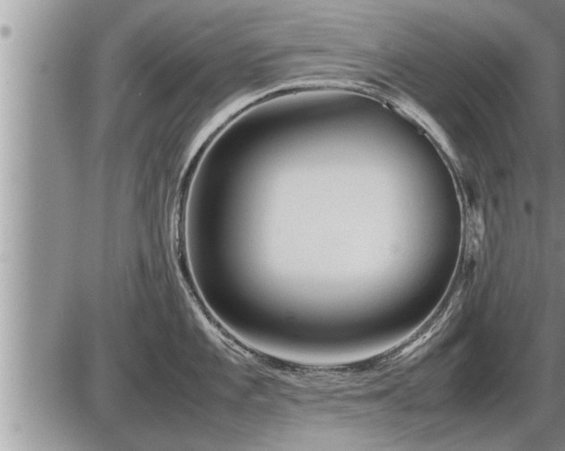 X0000087401101200704271641