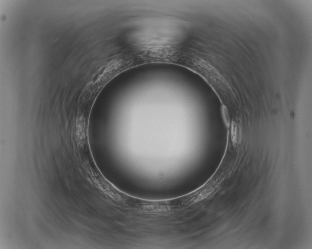 X0000087401107200704271640
