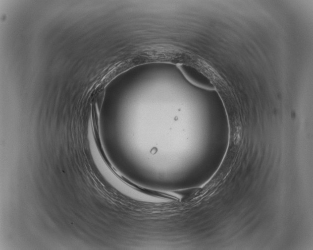 X0000087401108200704271640