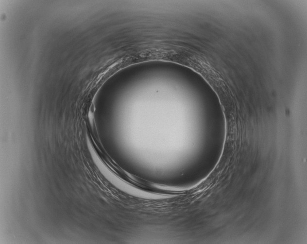 X0000087401109200704271640