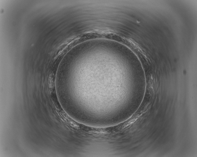 X0000087401110200704271640