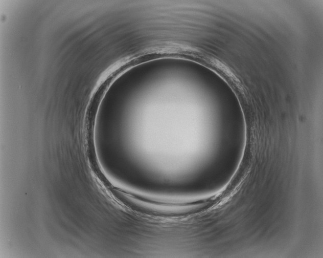 X0000087401122200704271640