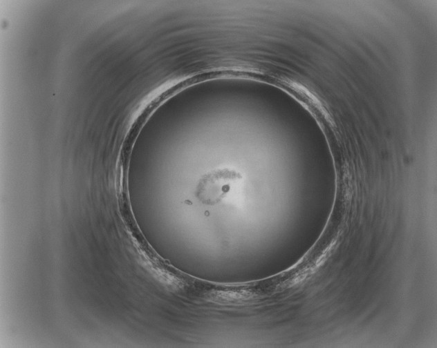 X0000087401125200704271640