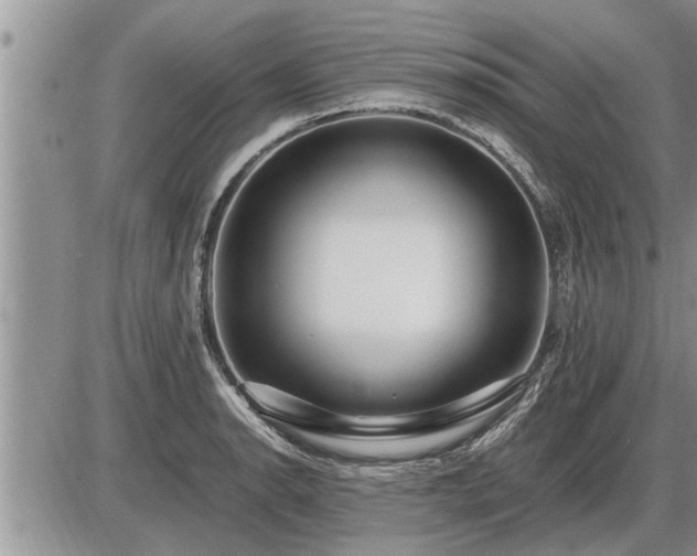 X0000087401134200704271640