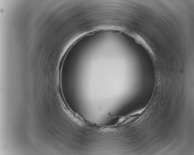 X0000087401140200704271641