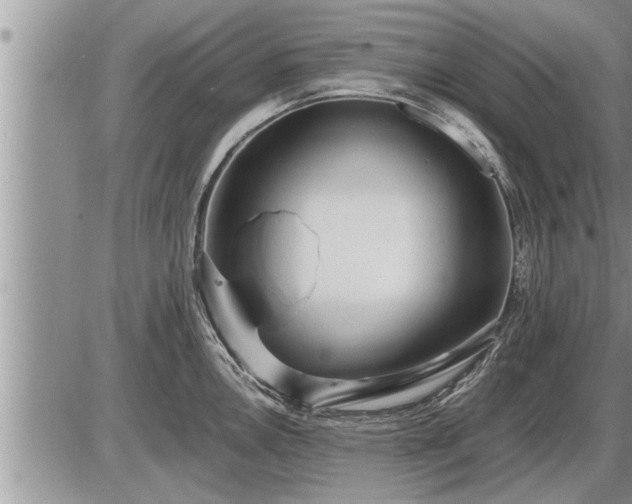 X0000087401146200704271641