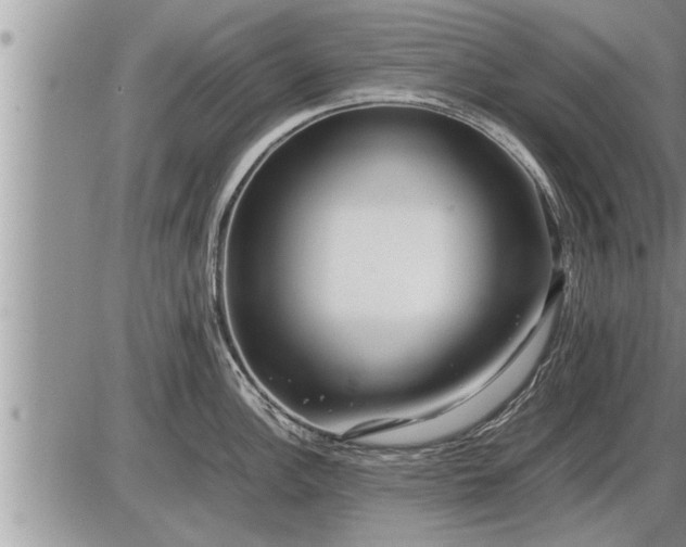 X0000087401148200704271641