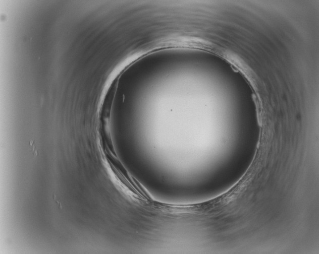 X0000087401152200704271641