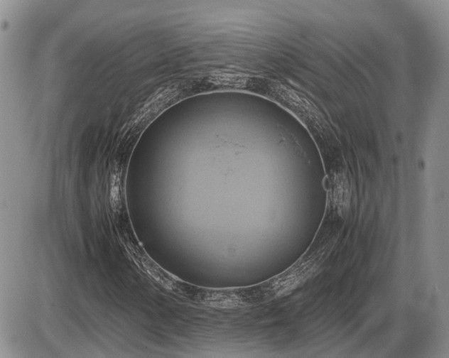 X0000087401154200704271640