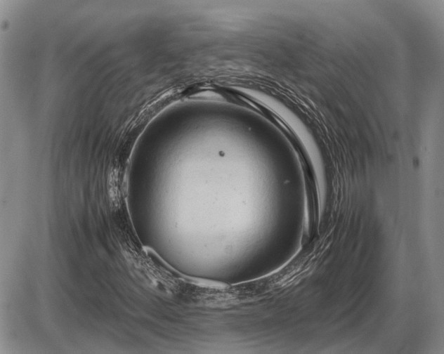 X0000087401156200704271640