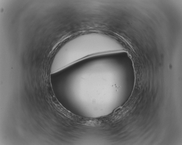 X0000087401160200704271640