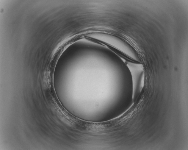 X0000087401164200704271640