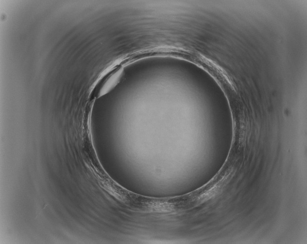 X0000087401170200704271640