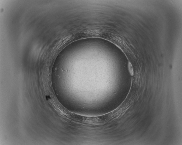 X0000087401201200704271638