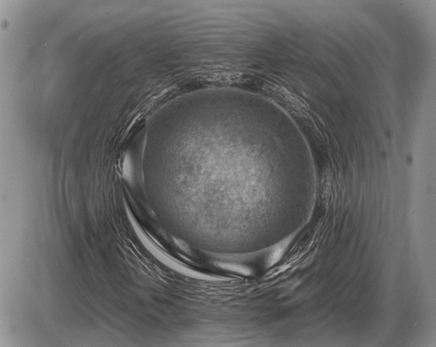X0000087401202200704271638
