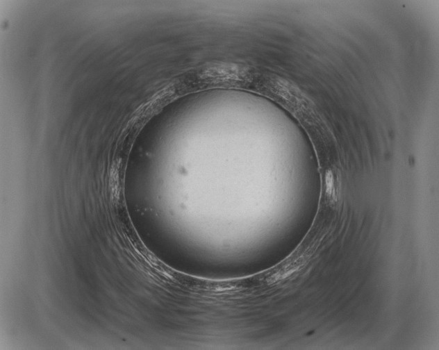 X0000087401203200704271638