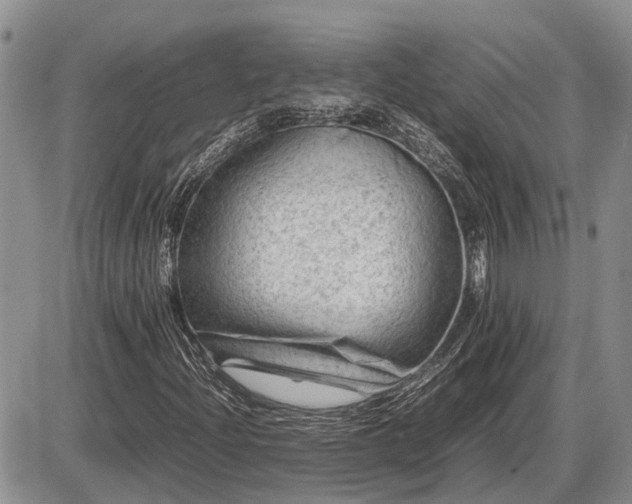 X0000087401204200704271638