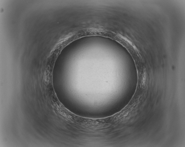 X0000087401207200704271638