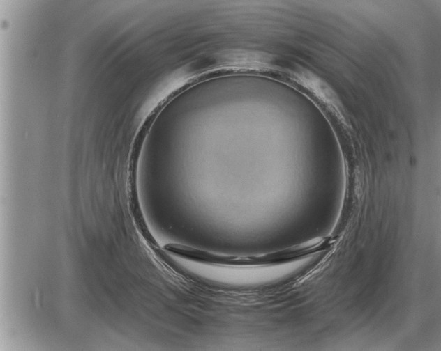 X0000087401229200704271639