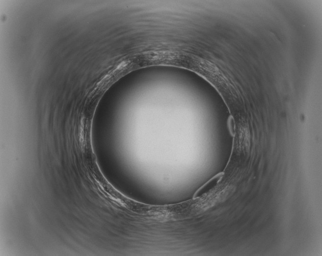 X0000087401250200704271638