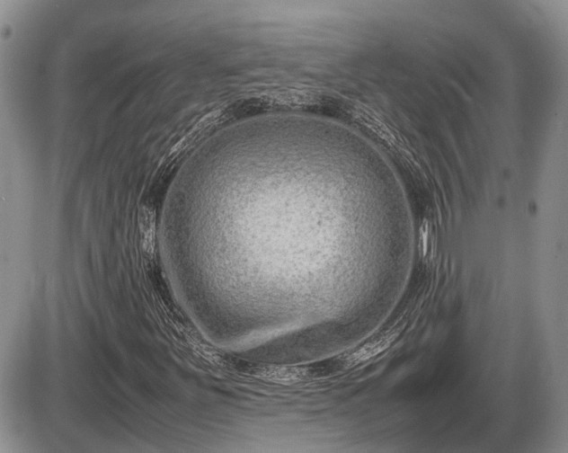 X0000087401251200704271638