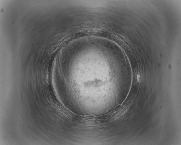 X0000087401252200704271638