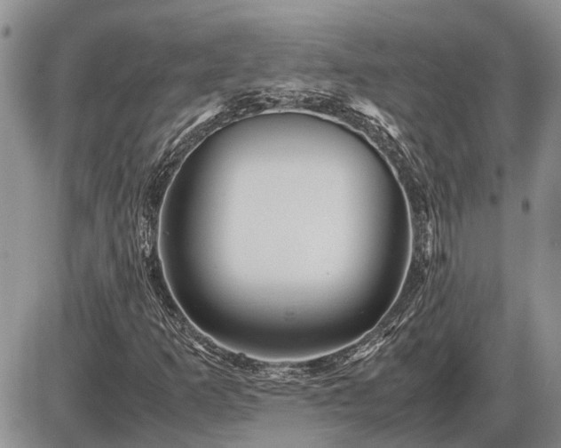 X0000087401253200704271638