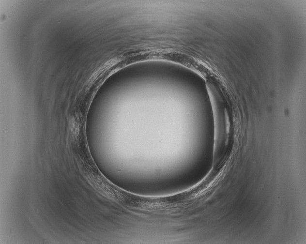 X0000087401257200704271638