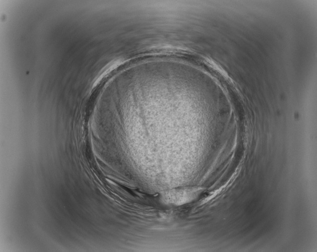 X0000087401259200704271638