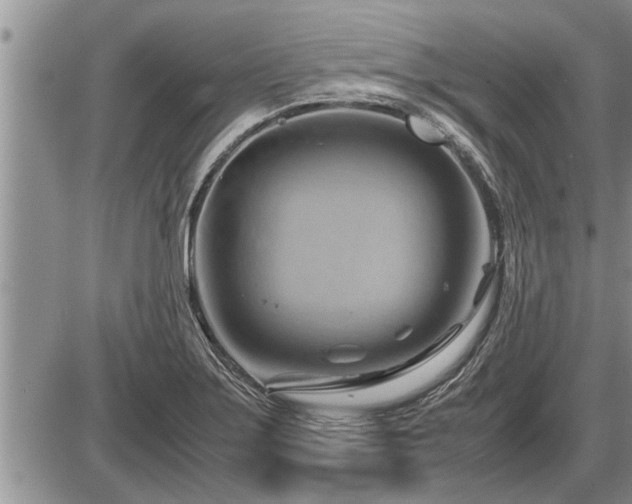 X0000087401275200704271638