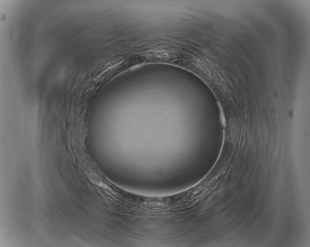 X0000087401297200704271637